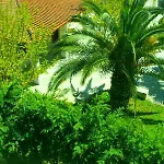 Apartament Afytos Sivilla