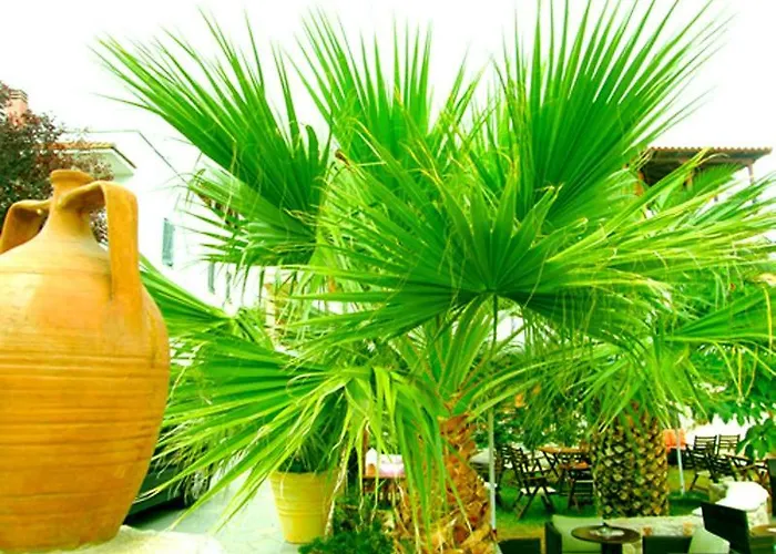 Sivilla Boutique Afytos